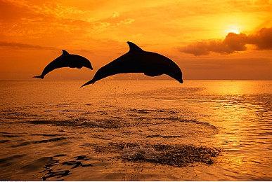 开发商确定《热血少女2》在北美地区将延期发售